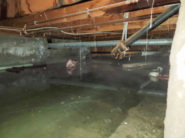 Best 24-hour water damage restoration  in Big Lake, WA