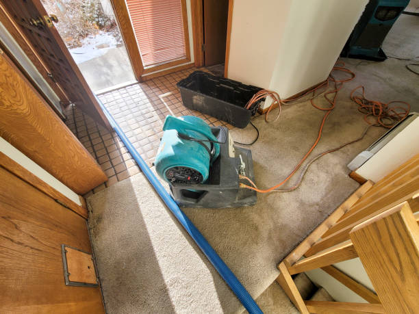 Best Water damage restoration near me  in Big Lake, WA