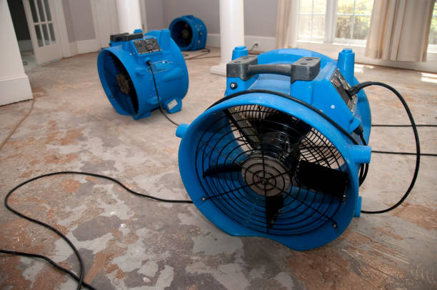 Best Water damage cleanup near me  in Big Lake, WA