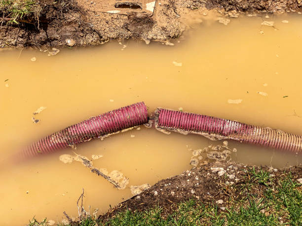 Best Water damage restoration process  in Big Lake, WA