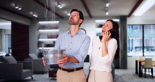 Best Flood restoration services  in Big Lake, WA